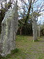 Steenrij in Plomeur, Bretagne