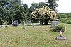 Old Cochecton Cemetery