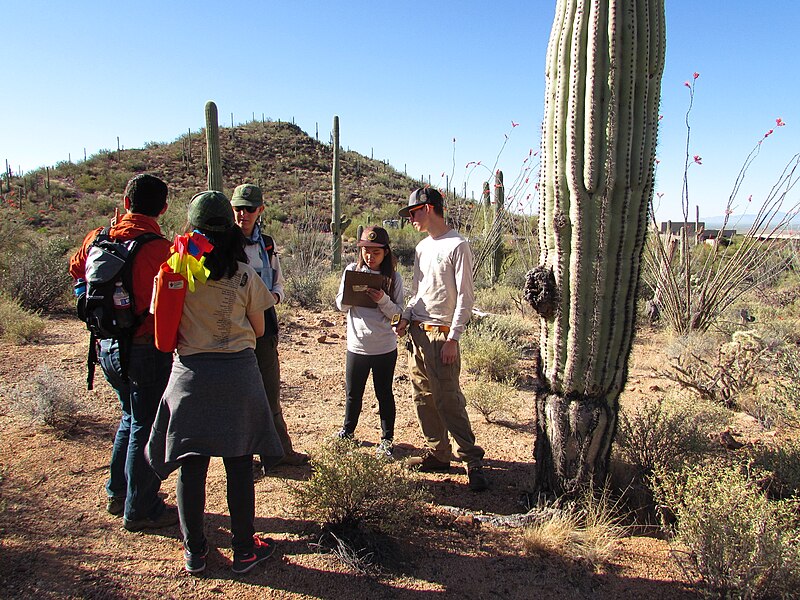 File:Arizona College Prep Academy (3cdae8ae-1dd8-b71b-0b27-d3a2c9cc0cce).JPG