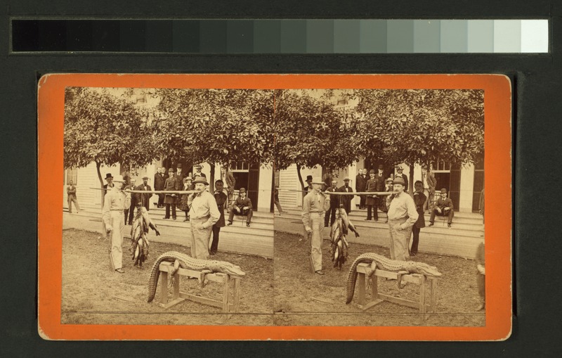 File:Fishing party, Florida (NYPL b11707406-G90F130 045ZF).tiff