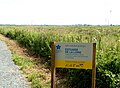 Les marais de l'estuaire de la Loire.