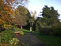 St Andrew's Church from Farnham Library Gardens