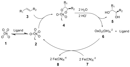 Mechanizm dihydroksylacji Sharplessa