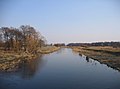 Widawa in spring, Sołtysowice, Wrocław