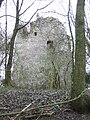 Ruine des Klosters Valroy