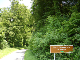 Image illustrative de l’article Forêt d'Hesdin