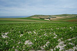 PNM des estuaires picards et de la mer d'Opale (11).jpg