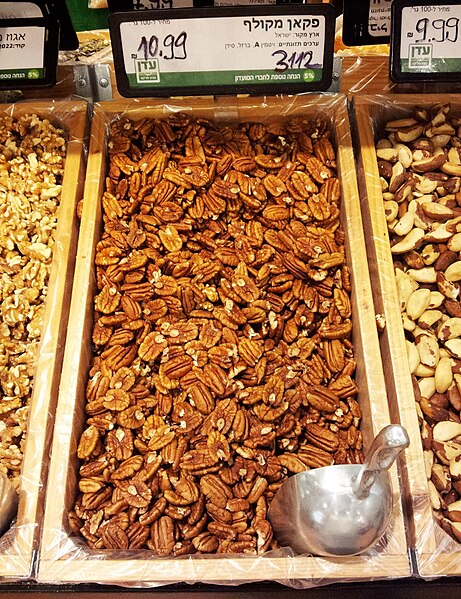 File:Pecan.Israel.jpg