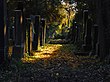 Zentralfriedhof, Alter jüdischer Friedhof Wien, Österreich