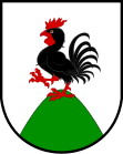 Wappen von Besednice