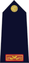 Rank insignia of Garda Inspector