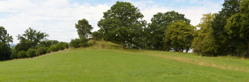 File:Lauterbach Maar 555520689 Ossenberg Quercus Pasture pano cyl 2023 SW o.png