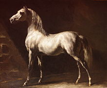 Caballo árabe gris-blanco, de Gericault (1812).