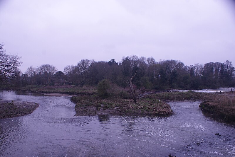 File:View over Beeleigh Falls from the path at the top of the weir - geograph.org.uk - 5737191.jpg