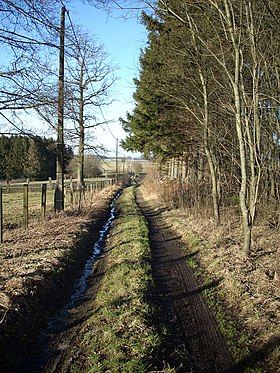 Image illustrative de l’article Chaussée romaine de Metz à Tongres