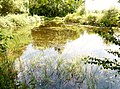 Petit étang marécageux dans les landes de Lan Bern.