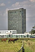 ASML 8 Tower.jpg