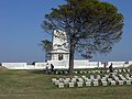 El llamáu "Pinu Solitariu" (Lone Pine)[53] ante'l campusantu y monumentu a los cayíos na batalla del Pinu Solitariu (Gallípoli).[54]