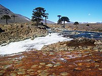 Le río Agrio à Caviahue dans les Andes.