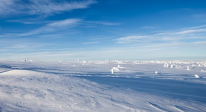 På toppen av fjället