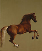 Retrato del caballo de carreras Whistlejacket, de George Stubbs (1762).[9]​