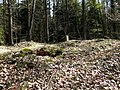 Stark zerwühlte, nördliche Holzturmstelle mit dem neuzeitlichen Grenzstein (April 2009)