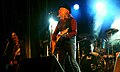 Elliott Murphy en concert au Festival les Sportiviales de Vitré en 2008