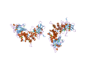 1ygu: Crystal structure of the tandem phosphatase domains of RPTP CD45 with a pTyr peptide