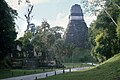 Tikal