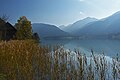 Belo jezero, severna obala