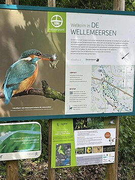 Wellemeersen