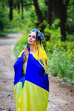 Zolotyxina-Shamli- Yellow-blue Heart