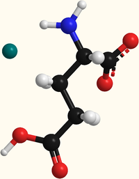 Structure o monosodium glutamate