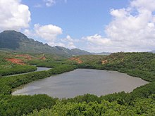 Photo of woods-surrounded pond