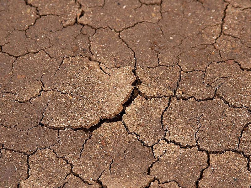 File:Cracked and dried mud at the beach.jpg