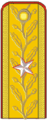 Roménia: General de brigadă