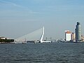 Erasmus bridge