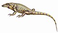 Varanodon agilis