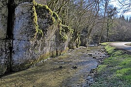 La vallée de la Barbèche