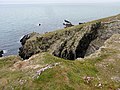 Plomodiern : falaises entre l'anse de Ty Mark et la pointe de Talagrip (détail 2).