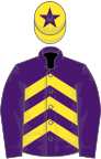 Purple, yellow chevrons, purple sleeves, yellow cap, purple star