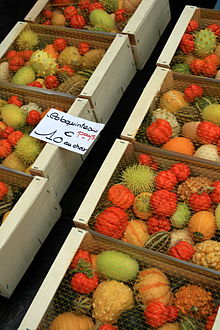 Cageots remplis de coloquintes multicolores et de formes variées