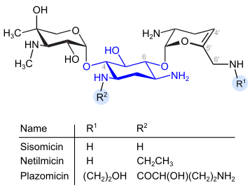 Dehydro-Analoga von Gentamicin (blau: Desoxystreptaminstruktur)