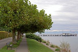 Meersburger Straße (Hagnau am Bodensee) mit renaturierter Uferpromenade