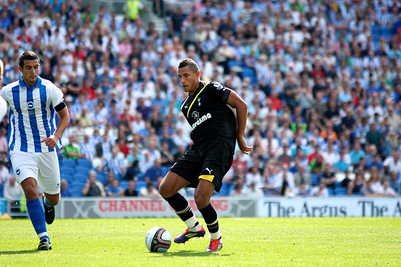 File:Jake Livermore Brighton v Spurs Amex Opening 30711.jpg