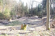 Unterer Schwanenweiher mit Tumulus, vor der Wiederherstellung