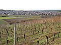 Blick auf Roßdorf vom Roßberg (2010)