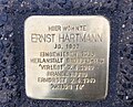 Ernst Hartmann