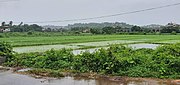 Fields of Fatorda, located near SPGDA Market