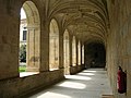 Mosteiro de San Clodio de Leiro